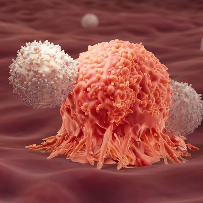 vaccin arnm melanome