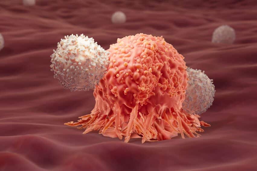 vaccin arnm melanome