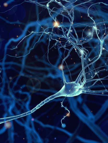 arn toxique alzheimer