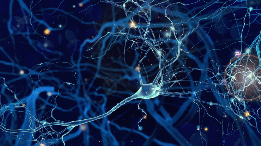 arn toxique alzheimer
