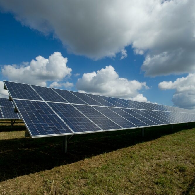 panneaux solaire cellules cout