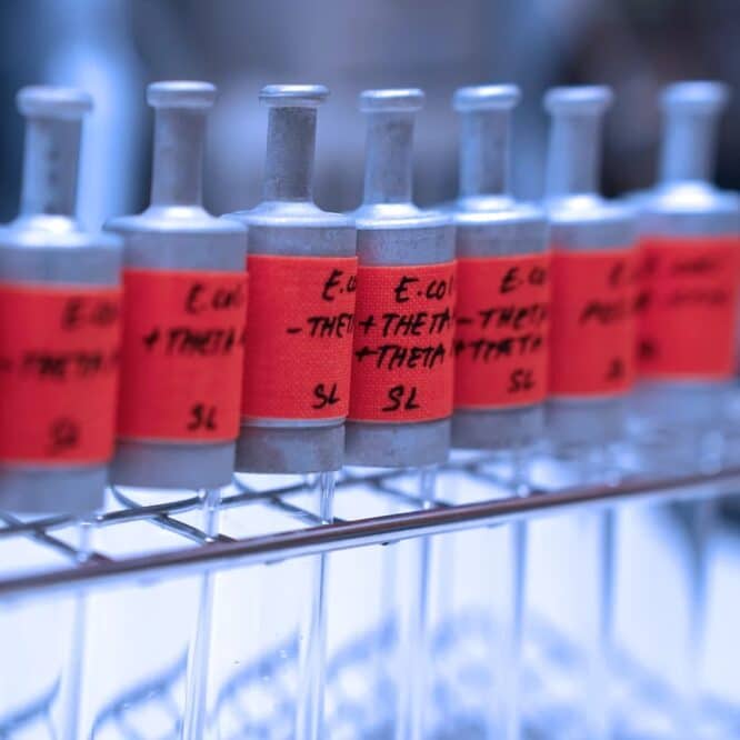 scientifiques ont concu cycle biochimique capturer co2 couv