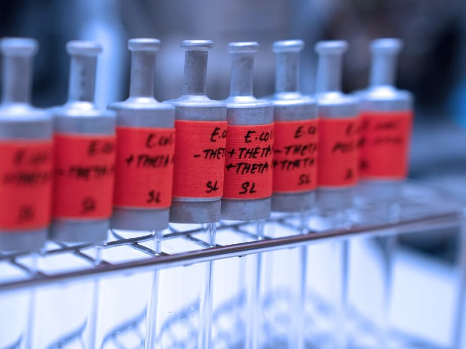 scientifiques ont concu cycle biochimique capturer co2 couv