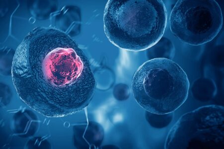 therapie regenerative DT1
