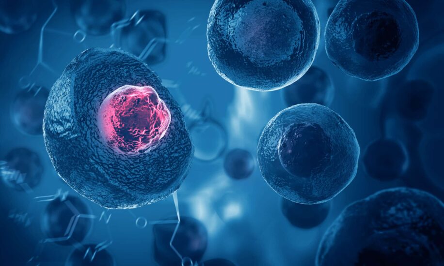 therapie regenerative DT1
