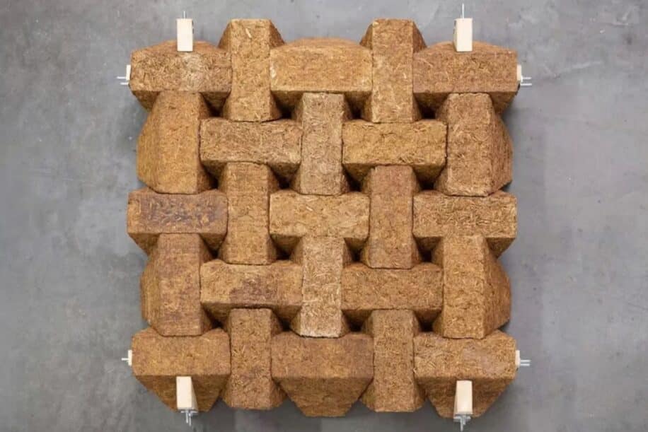 beton canne sucre