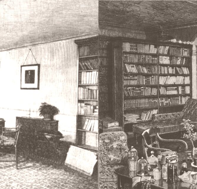 bibliotheque darwin reconstitue