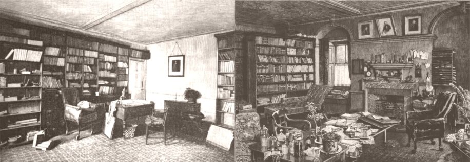 bibliotheque darwin reconstitue