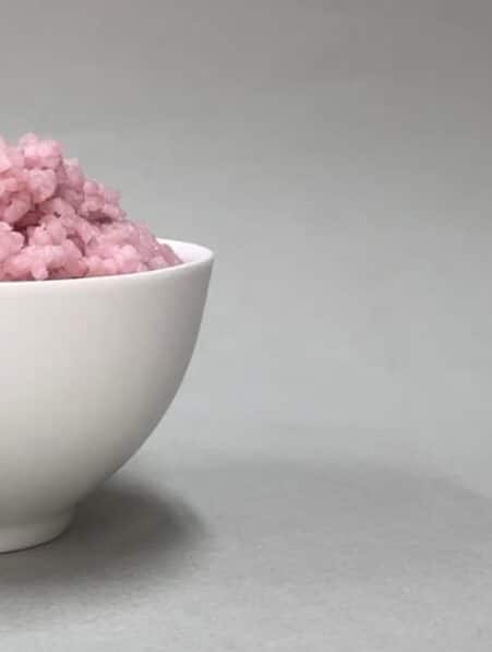 bovine cultive riz