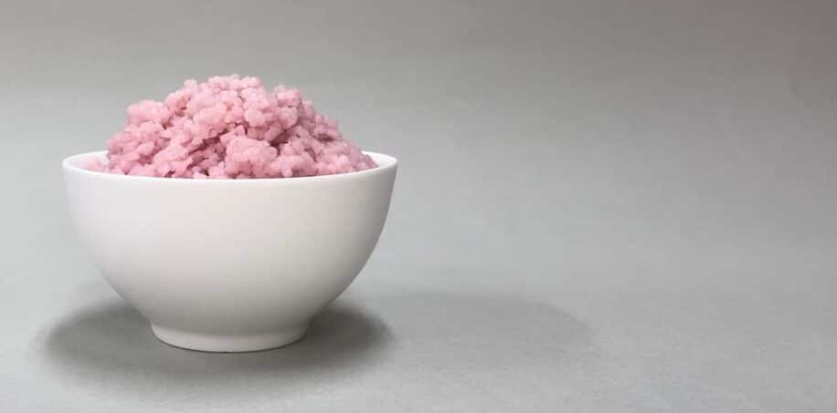 bovine cultive riz
