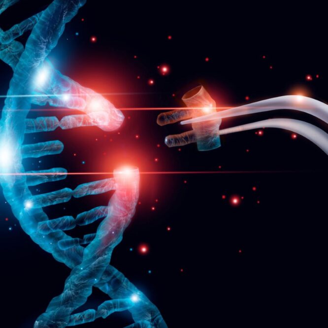 crispr edition genetique traiter maladie hereditaire mortelle couv