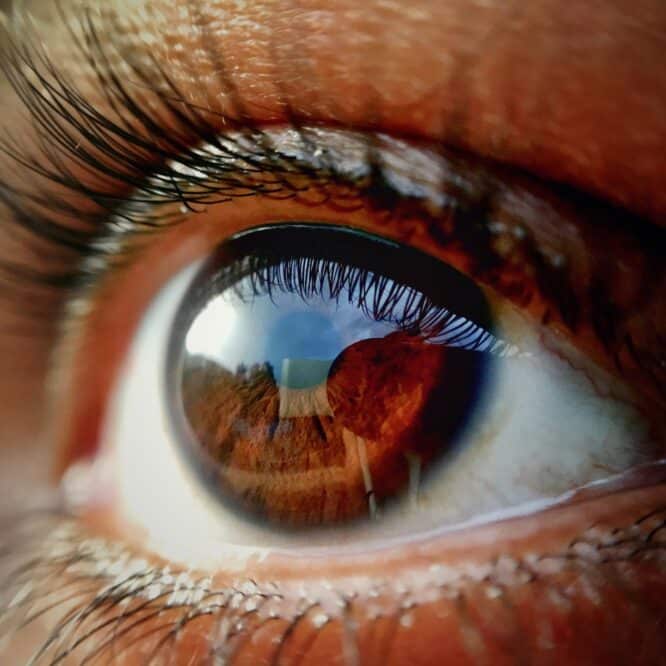 glaucome medicaments vision