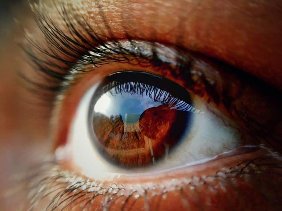 glaucome medicaments vision