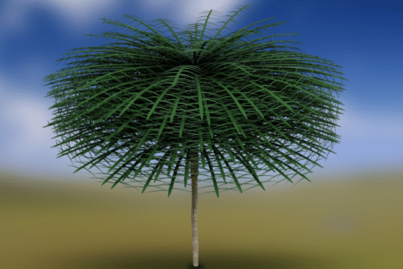 scientifiques ont decouvert arbres vieux 350 millions annees a lapparence etrange couv