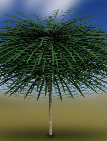 scientifiques ont decouvert arbres vieux 350 millions annees a lapparence etrange couv