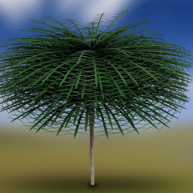 scientifiques ont decouvert arbres vieux 350 millions annees a lapparence etrange couv