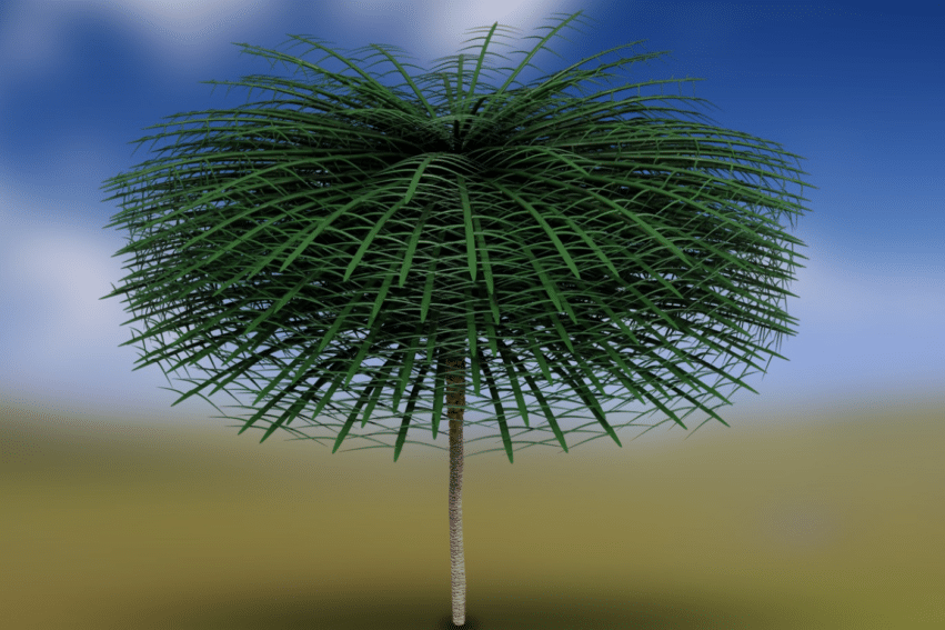 scientifiques ont decouvert arbres vieux 350 millions annees a lapparence etrange couv