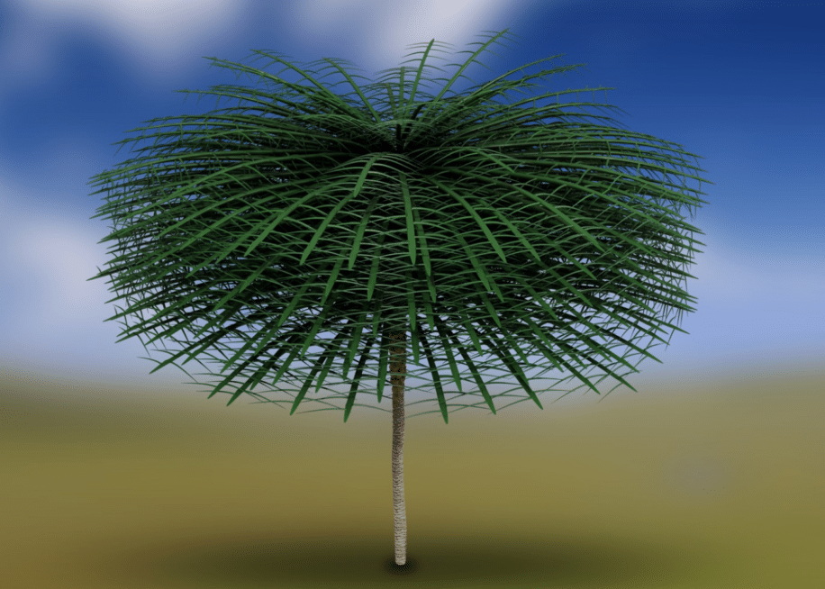 scientifiques ont decouvert arbres vieux 350 millions annees a lapparence etrange couv