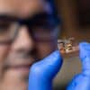 chercheurs ont developpe methode transformer materiaux courants conducteurs adaptes ordinateurs quantiques couv
