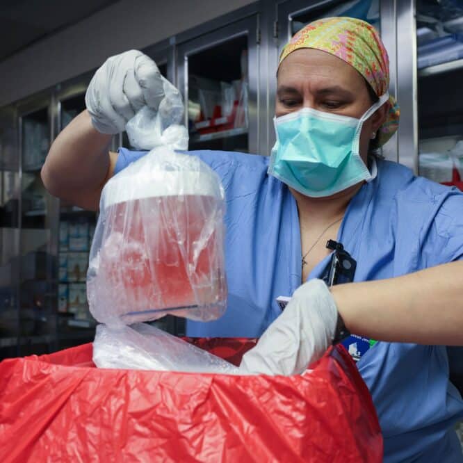 pour premiere fois rein porc transplante patient humain vivant couv