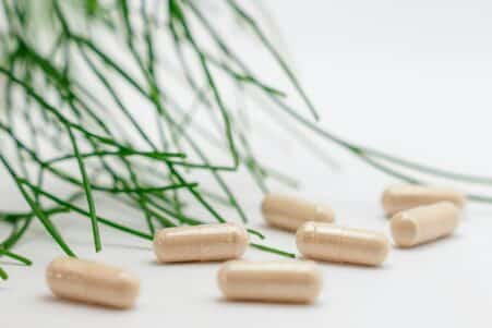 prebiotique memoire agees