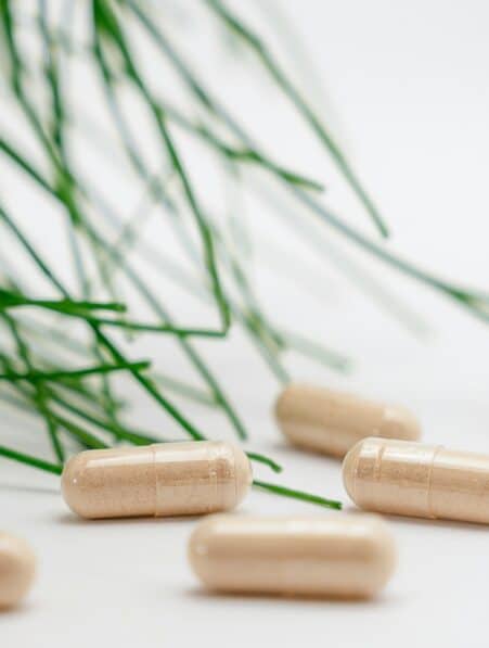 prebiotique memoire agees