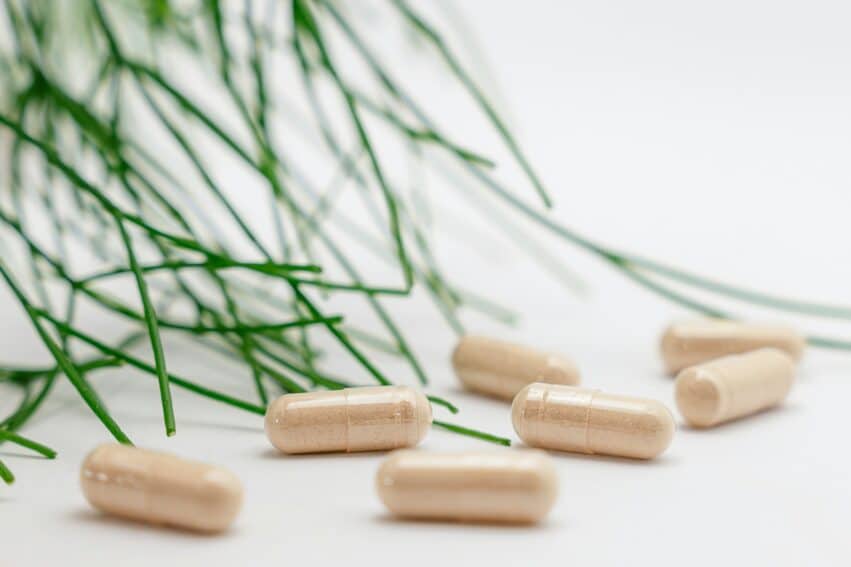 prebiotique memoire agees