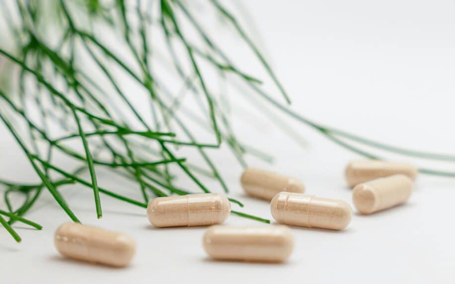 prebiotique memoire agees