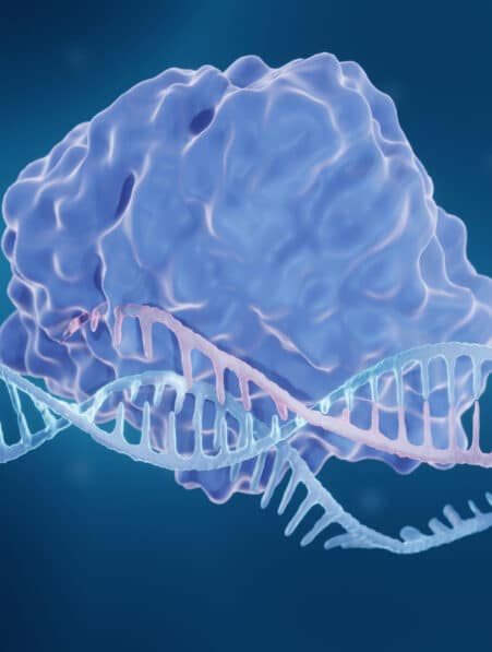 vih crispr desactive