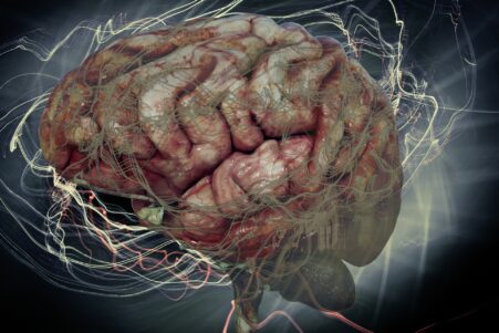 L autisme est capable de stimuler les performances cognitives