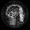 la restriction calorique intermittente entraîne des changements dynamiques dans le cerveau humain couv