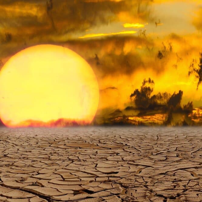 mars 2024 chaud enregistre