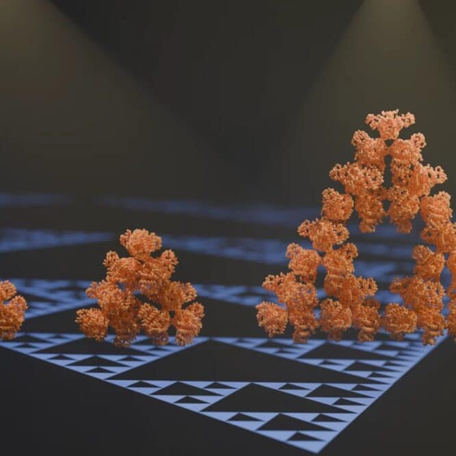 pour premiere fois chercheurs decouvrent molecule fractale couv