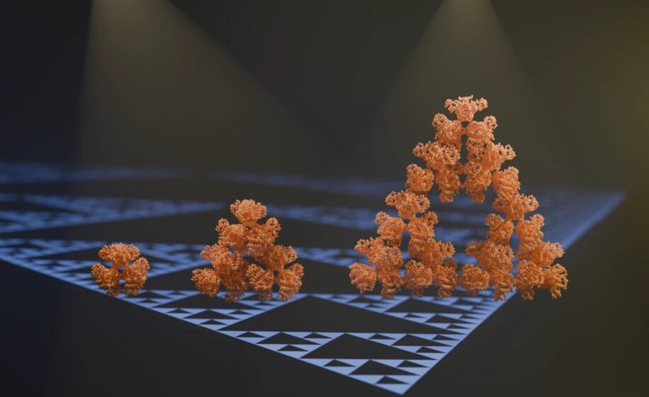 pour premiere fois chercheurs decouvrent molecule fractale couv