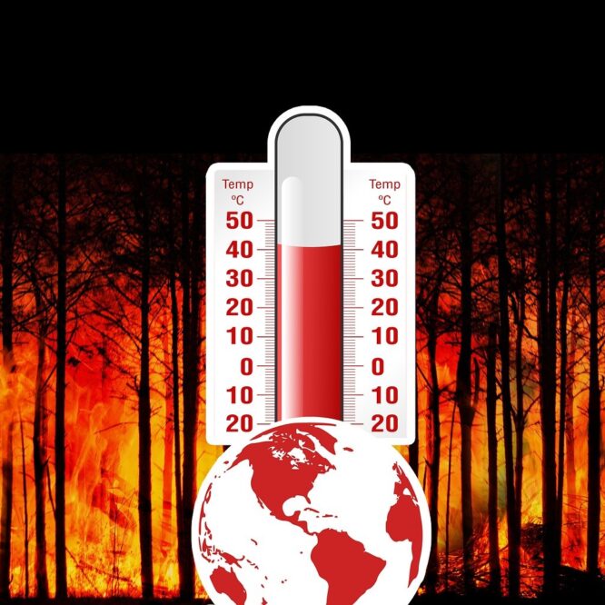 2023 ete chaud 2000 ans