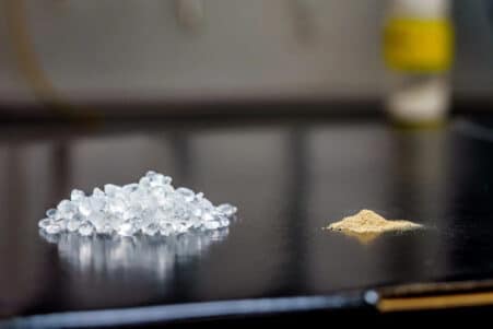 bioplastique bacteries spores