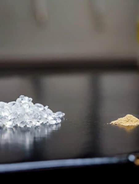 bioplastique bacteries spores