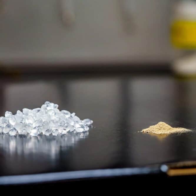 bioplastique bacteries spores