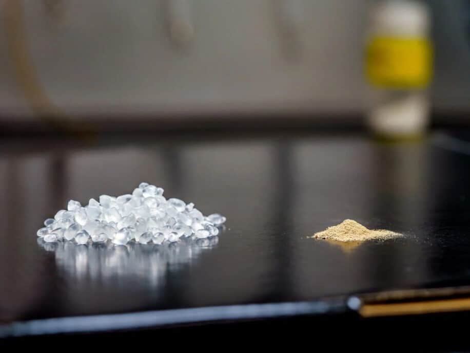 bioplastique bacteries spores