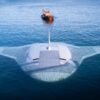 manta ray northrop remorque couv