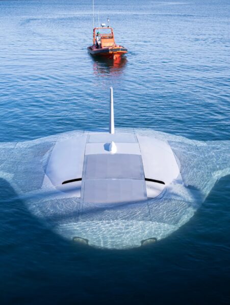 manta ray northrop remorque couv