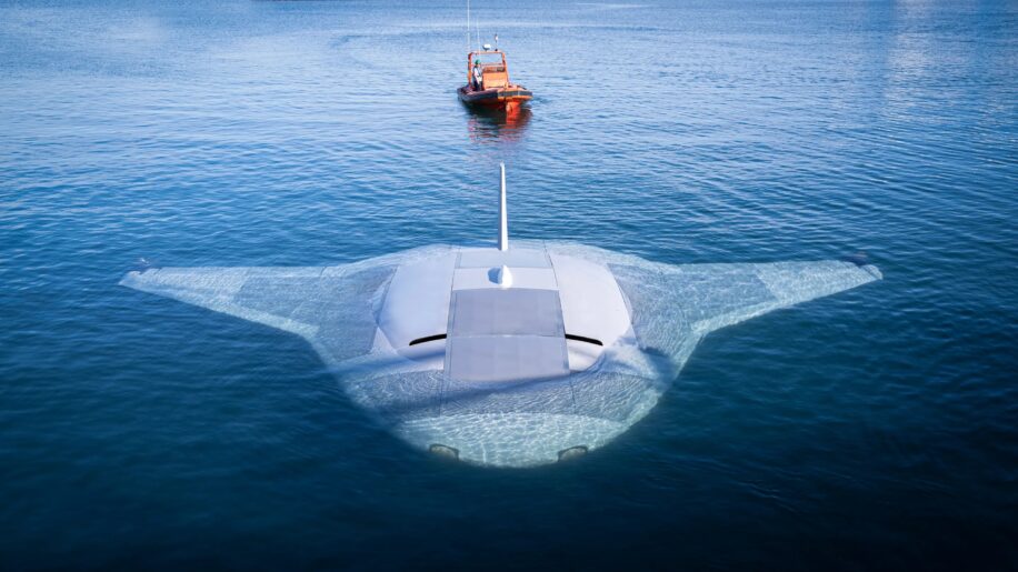 manta ray northrop remorque couv
