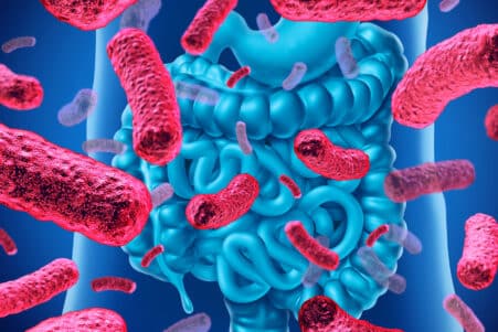 soigner soi meme microbiote intestinal