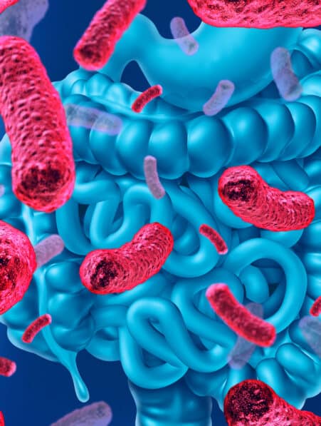 soigner soi meme microbiote intestinal