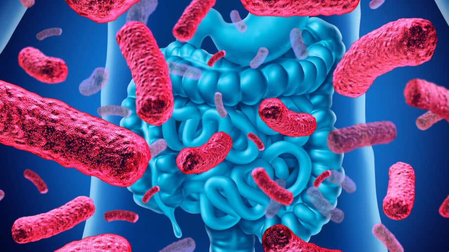 soigner soi meme microbiote intestinal