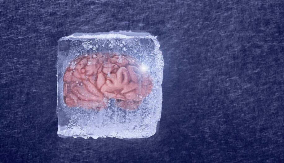 tissus cerebraux fonctionne cryogenisation