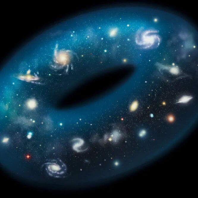 univers topologie exotique doughnut couv