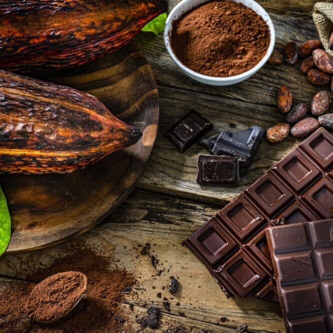 chocololat sain durable