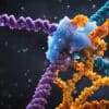edition pont genetique crispr