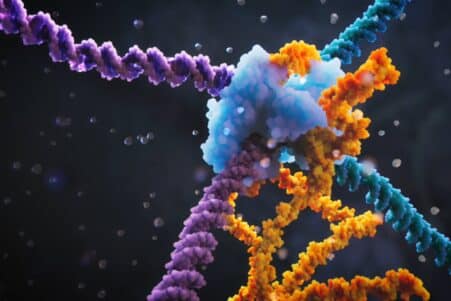 edition pont genetique crispr